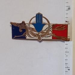 Insigne du maintien de l'ordre en Afrique du Nord