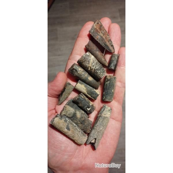 Fossiles b�lemnites lot collection antiquit� objet de curiosit�