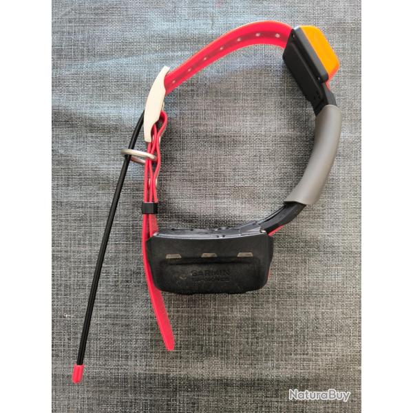 Collier GARMIN T5 US