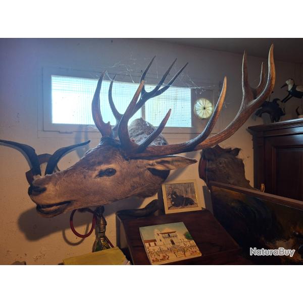 COLLECTION 60 ANS DE CHASSE FRANCAISE GROS GIBIERS CERFS