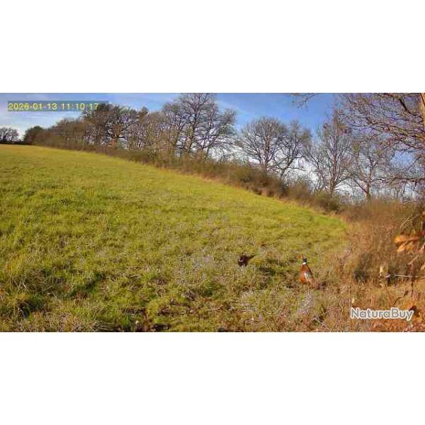 action de chasse petits gibiers  en Brenne