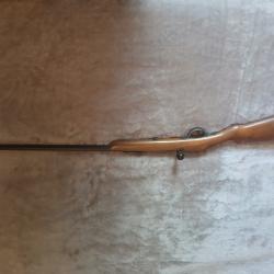 Carabine 22lr Humbert