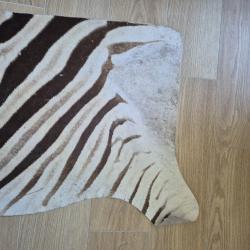 Demi-peau de Z&egrave;bre pr&eacute;par&eacute;e en descente de lit