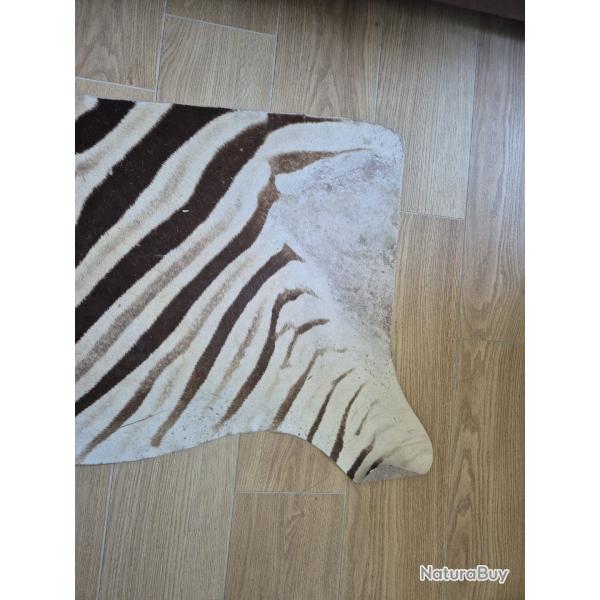 Demi-peau de Z�bre pr�par�e en descente de lit