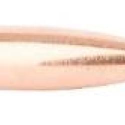 Ogives Cam pro 308 SP-FCP 165 grains