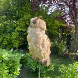 Grand Duc pour chasse des corvid&eacute;s ou collection