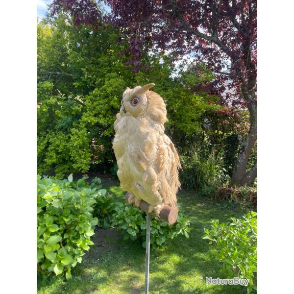 Grand Duc pour chasse des corvid�s ou collection