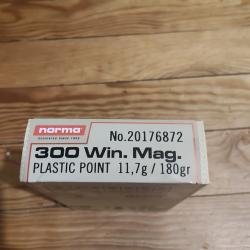 Balles 300WM PPDC (pointes plastiques)