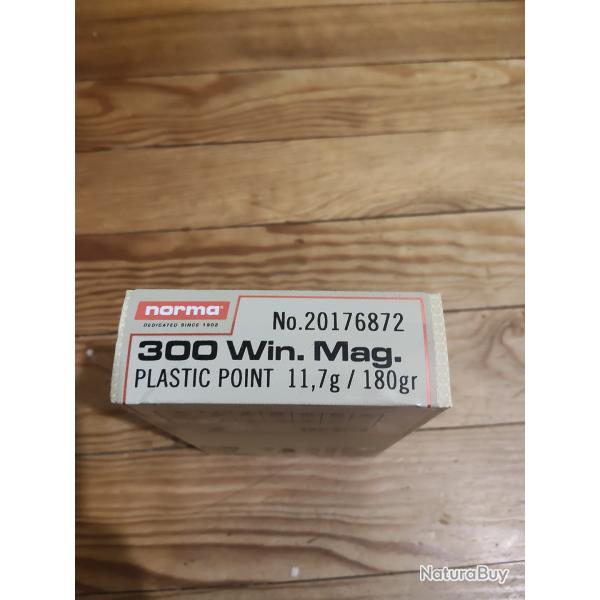 Balles 300WM PPDC (pointes plastiques)