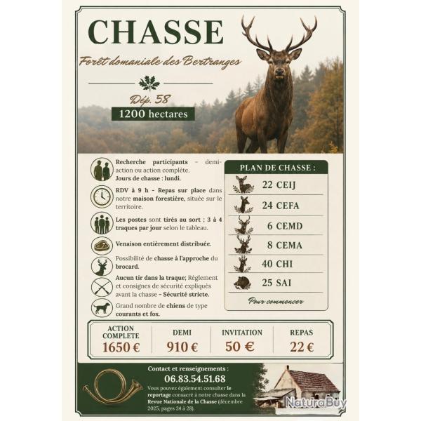 action de chasse grand gibier departement 58