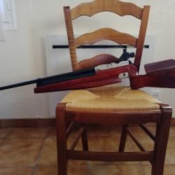 Carabine &agrave; plombs 4,5mm FEINWERKBAU 600