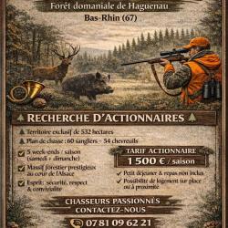 Recherche d'actionnaires