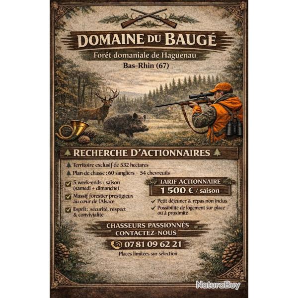 Recherche d'actionnaires