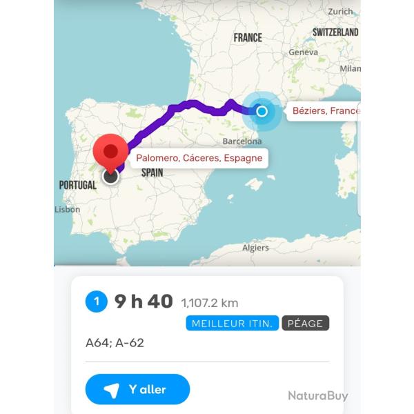 ORGANISATION DE SEJOUR DE CHASSE DE LA GRIVE EN ESPAGNE REGION EXTREMADURE NORD