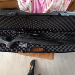 Gamo arrow 4.5mm avec lunettes 3-9x40