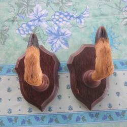 PORTE 1 FUSILS+ PATTES CHEVREUIL