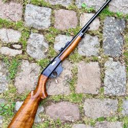 carabine unique X 51 bis cal 22 LR semi auto 10 coups cat B take down