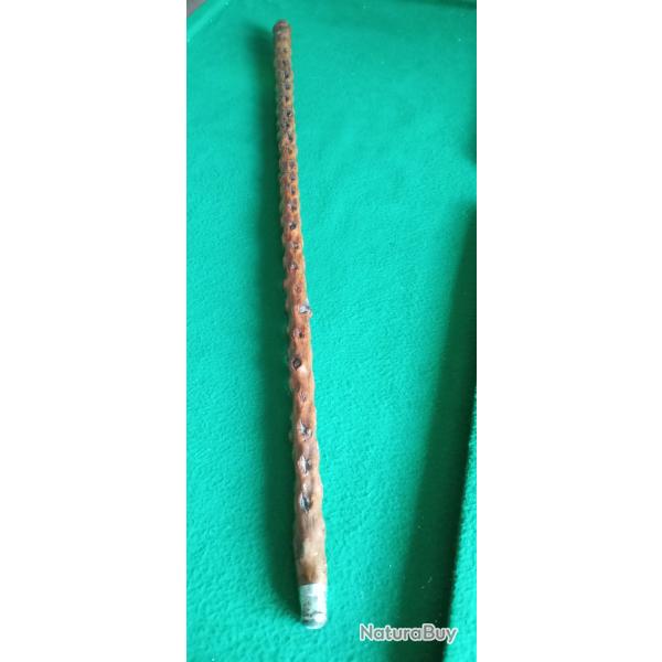 Ancienne canne en roncier