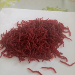 500 vers de vase artificiels