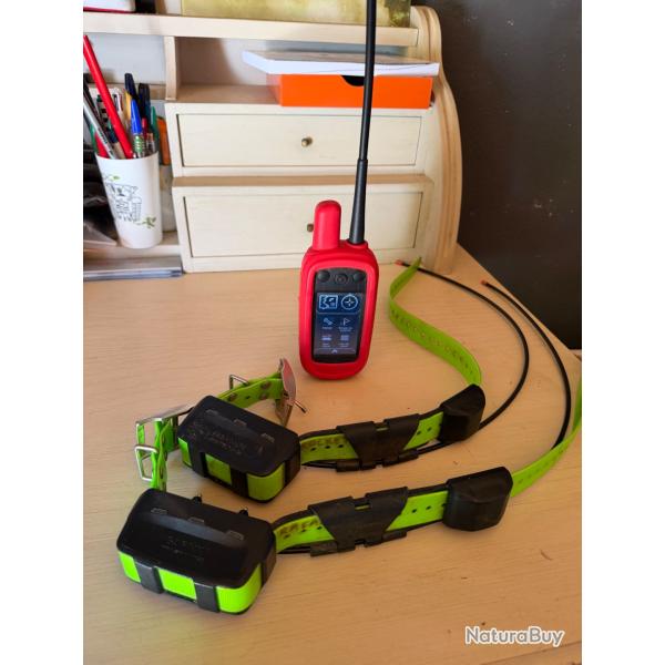 Lot de 2 Colliers garmin TT15 fr avec centrale alpha 100