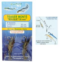 Teasers mont&eacute;s FLASHMER