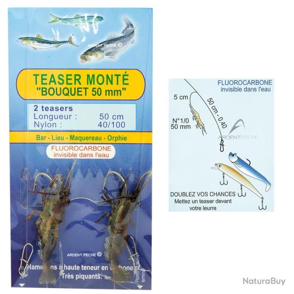 Teasers mont�s FLASHMER