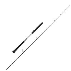 Canne spinning Penn Prevail III Light jigging 2.04m / max 120g