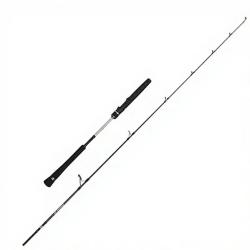Canne spinning Penn Prevail III Light jigging 2.04m / max 120g