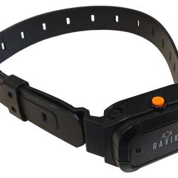 Collier suppl&eacute;mentaire de dressage Ravik RV900