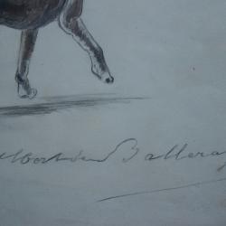 DESSIN CRAYON CHIEN DE CHASSE ALBERT DE BALLEROY CIRCA 1860