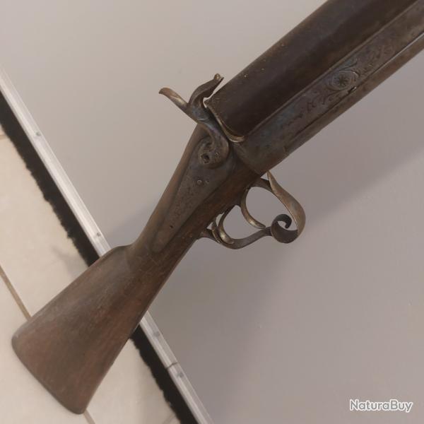 /Cat.D/ Fusil de chasse ancien � broches