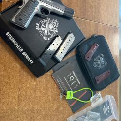 Springfield 1911 Robin 45 Acp