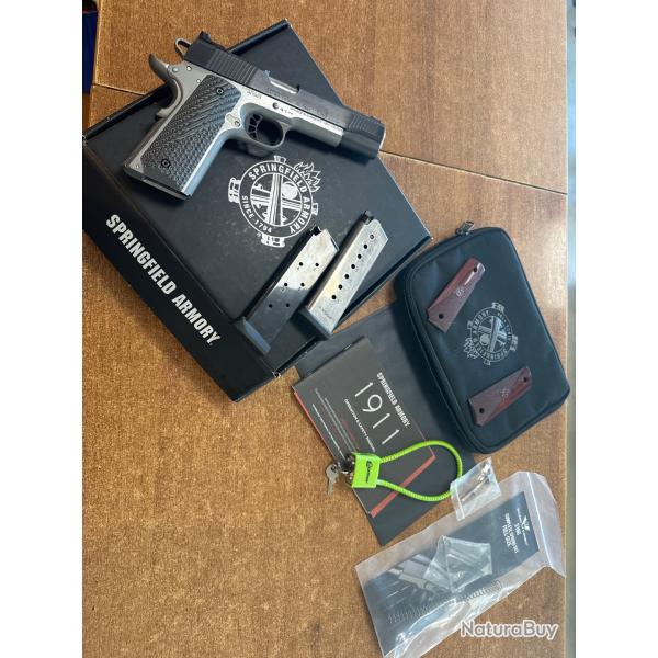 Springfield 1911 Robin 45 Acp