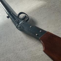 Carabine a air comprim&eacute;