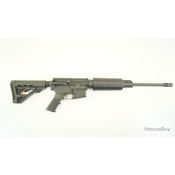 carabine type ae15 dpms cal223