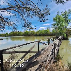 Propri&eacute;t&eacute; de Chasse en Sologne d'environ 103 hectares DF-1173-S