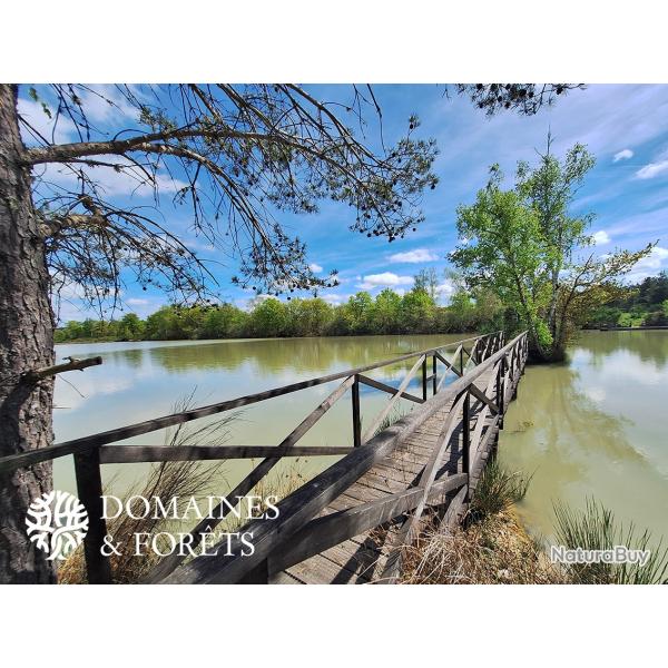 Propri�t� de Chasse en Sologne d'environ 103 hectares DF-1173-S