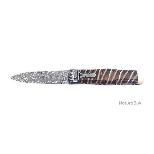 Predator - Mikov - Ref M241DMA1 - EAN 8590710001326