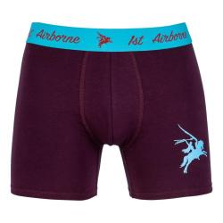 Boxer Pegasus Airborne