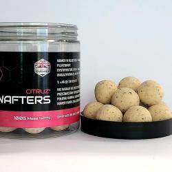 NASH CITRUZ WAFTER 20MM 100G BLANC