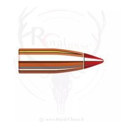100 ogives Cal.17 D.172 20Grs V-MAX HORNADY