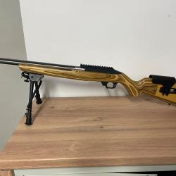 RUGER 10/22 Custom Shop