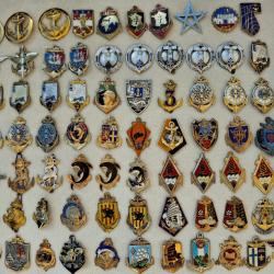 Vends insignes des Troupes Coloniales et des Troupes de Marine