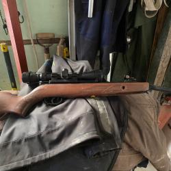 Carabine &agrave; air comprim&eacute; GAMO hunter 440 as cal.4.5 19.9j + lunette + 3-9x40wr