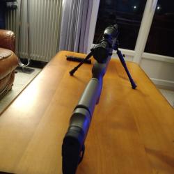 CARABINE A PLOMPS DE MARQUE STOEGERATAC S2