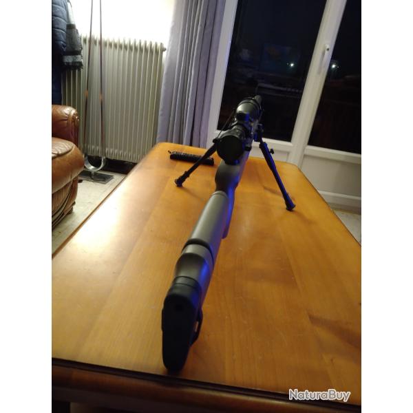 CARABINE A PLOMPS DE MARQUE STOEGERATAC S2