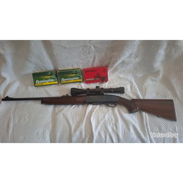 carabine semi automatique Remington 280