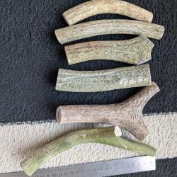 Lot bois de cerf pour chien