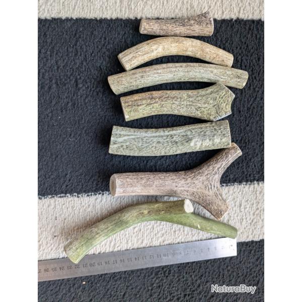 Lot bois de cerf pour chien