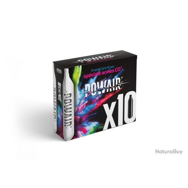 DESTOCKAGE - CARTOUCHES CO2 12GR X 10